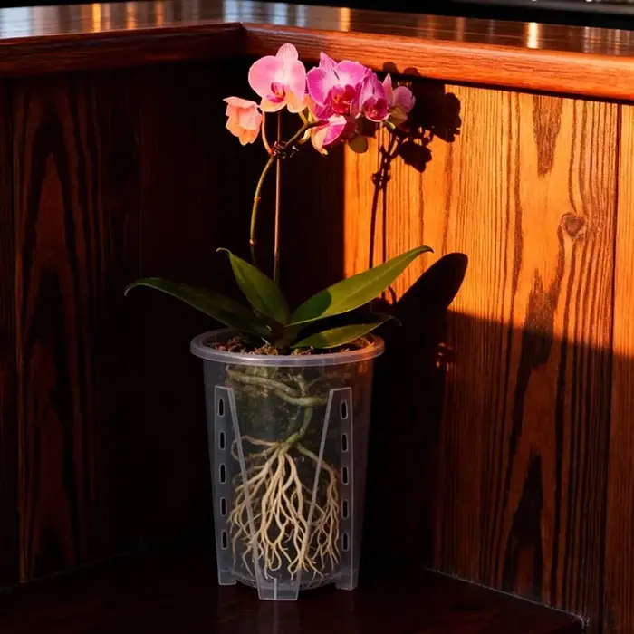 Pot de fleur transparent en plastique PP