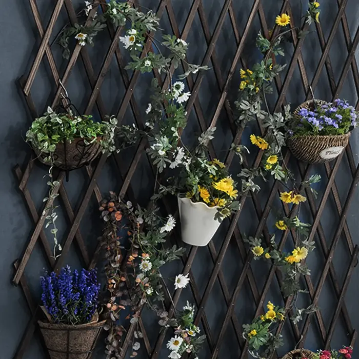 Extra Optics-Cadre d'escalade extensible pour plante