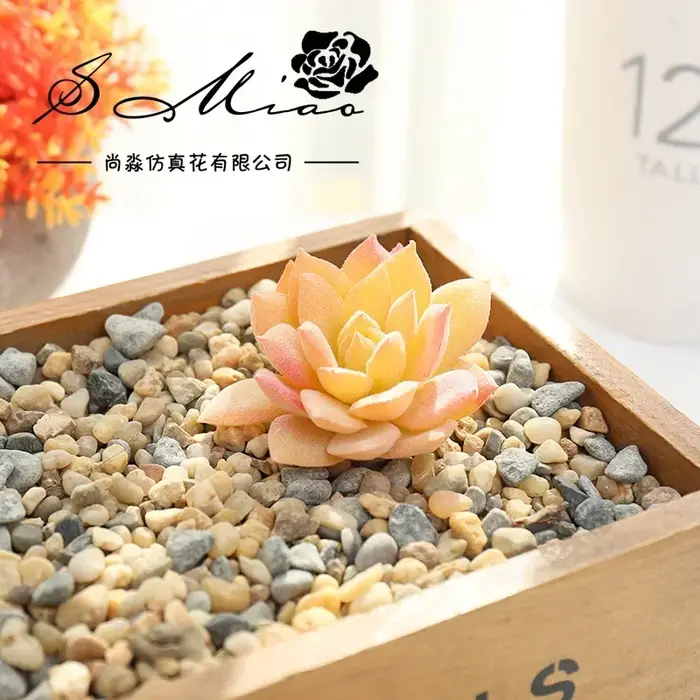 Plantes succulentes artificielles, bricolage pour jardin, Table de bureau, fête, chambre à coucher, salon, décoration de bureau, fausses plantes bonsaï