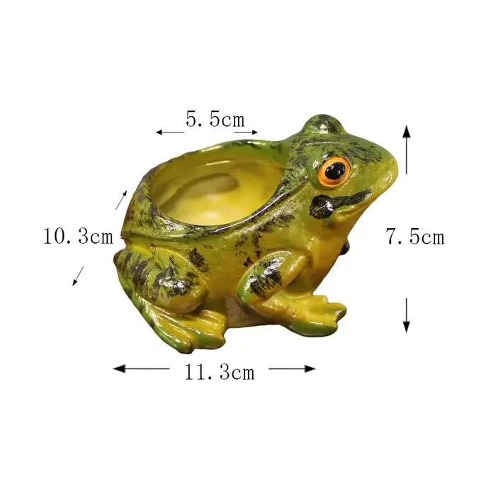 Pots de plantes succulentes grenouille en résine créative