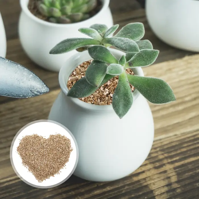 Vermiculite 3L croissance moyenne pour plantes