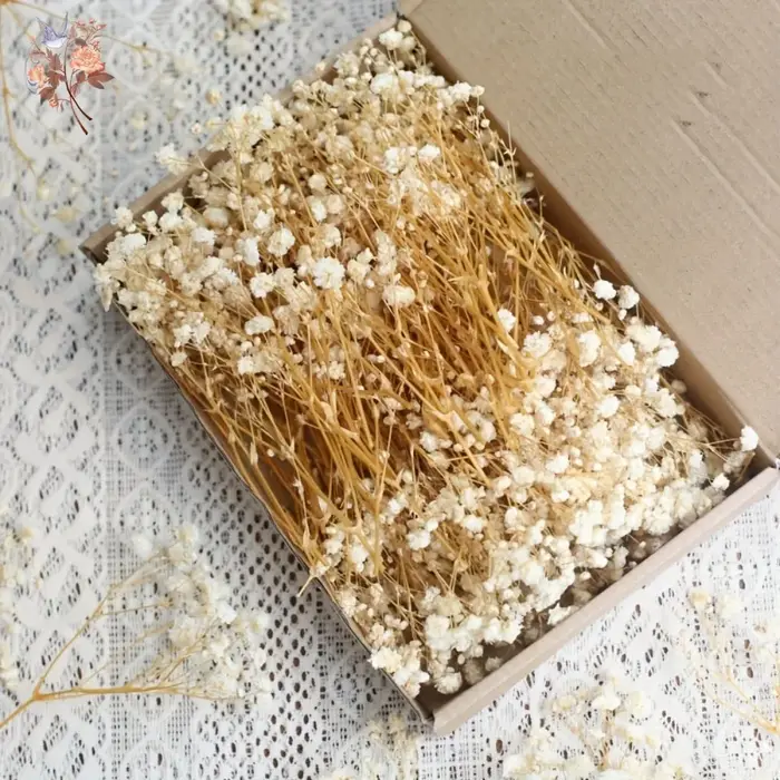 100 pièces Mini fleurs souffle de bébé séchées pour artisanat en résine bricolage décor de mariage à la maison vraie touche gypsophile petit paquet embellir cadeau