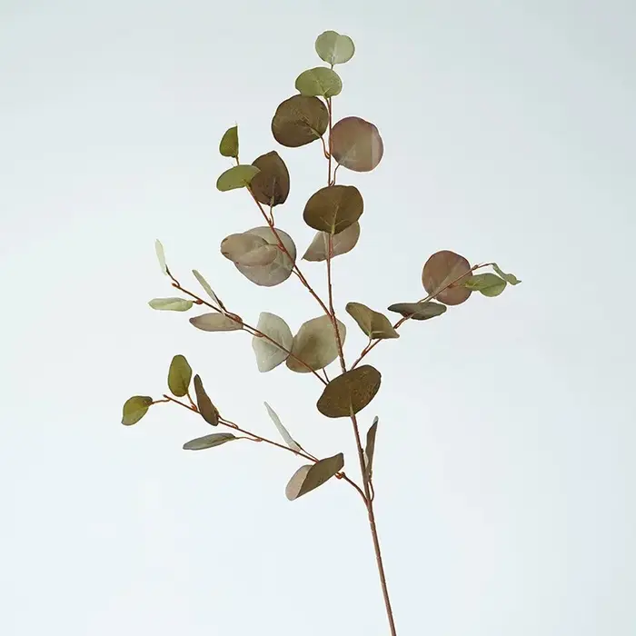 Simulation de feuille de pomme longue