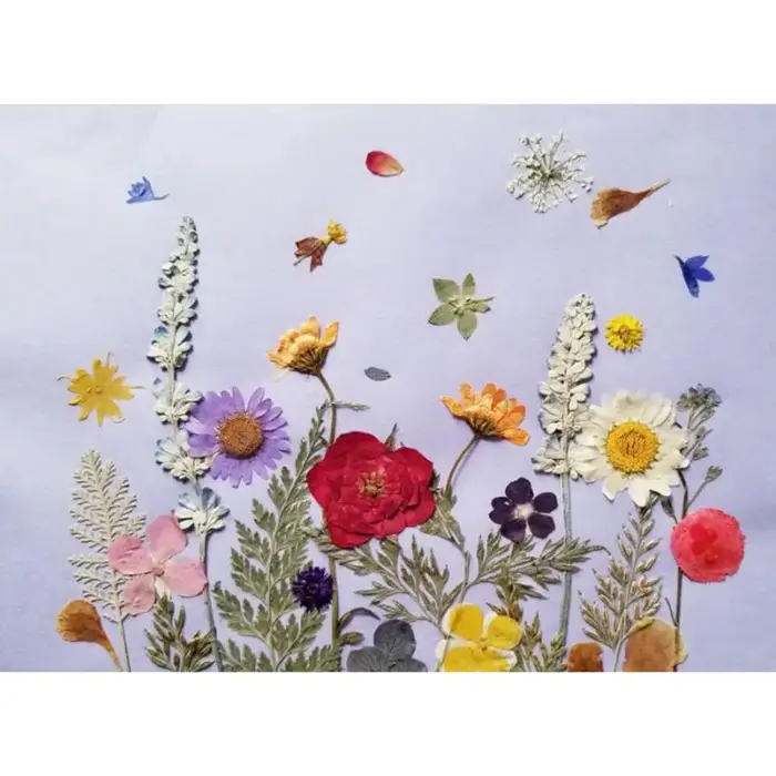 Mini bouquet de fleurs séchées véritables, couleurs mélangées, fleurs pressées pour l'art de la résine et la fabrication de bougies
