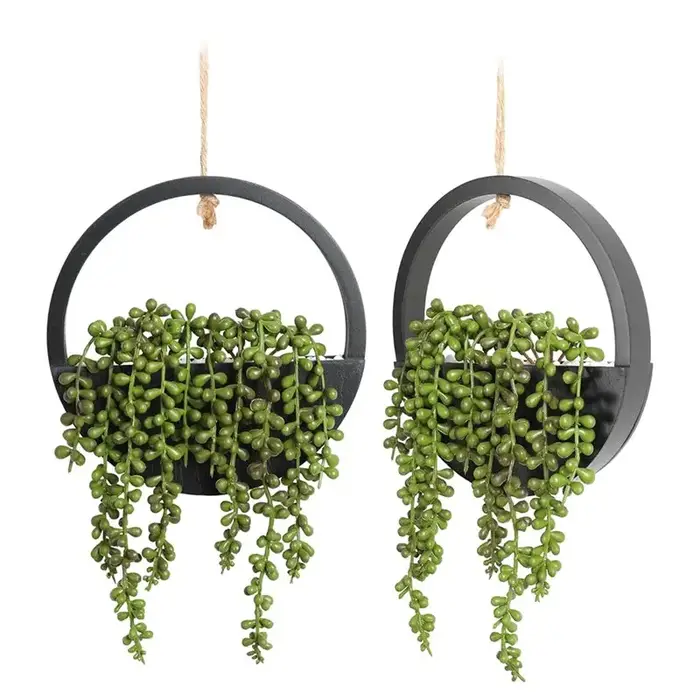 BSEVB-Home Décoration murale intérieure pour salon, 2 pièces, plantes artificielles noires suspendue