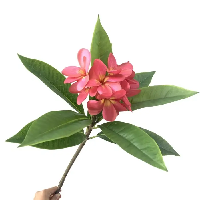 Impression 3D Main Sensation Frangipanier Fleurs Branche, Mariage, Salon, Vase De Table, Décoration 
