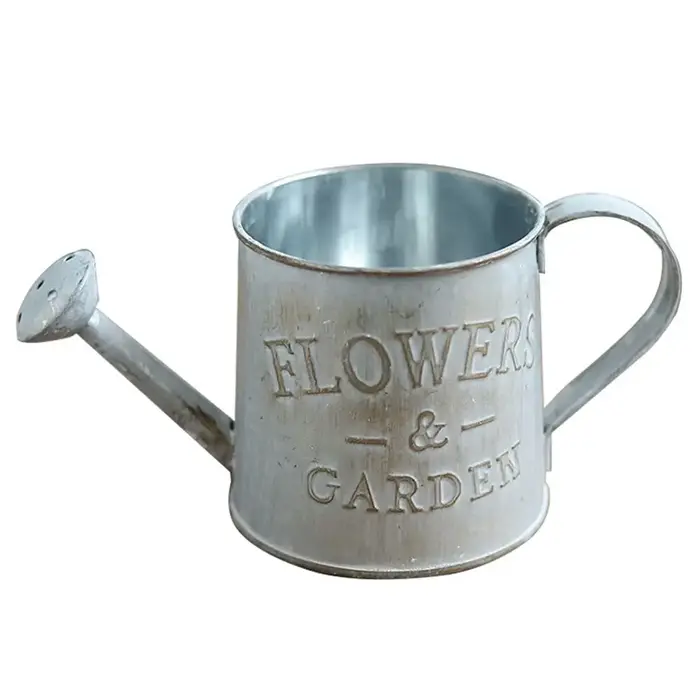 Arrosoir en fer forgé gaufré vintage, porte-fleurs de jardin, vases en feuille, décoration de la mai