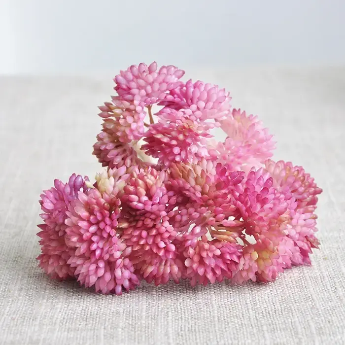 Diamant 10CM artificiel succulent Grain de riz plantes vertes Micro paysage plante Arrangement photo