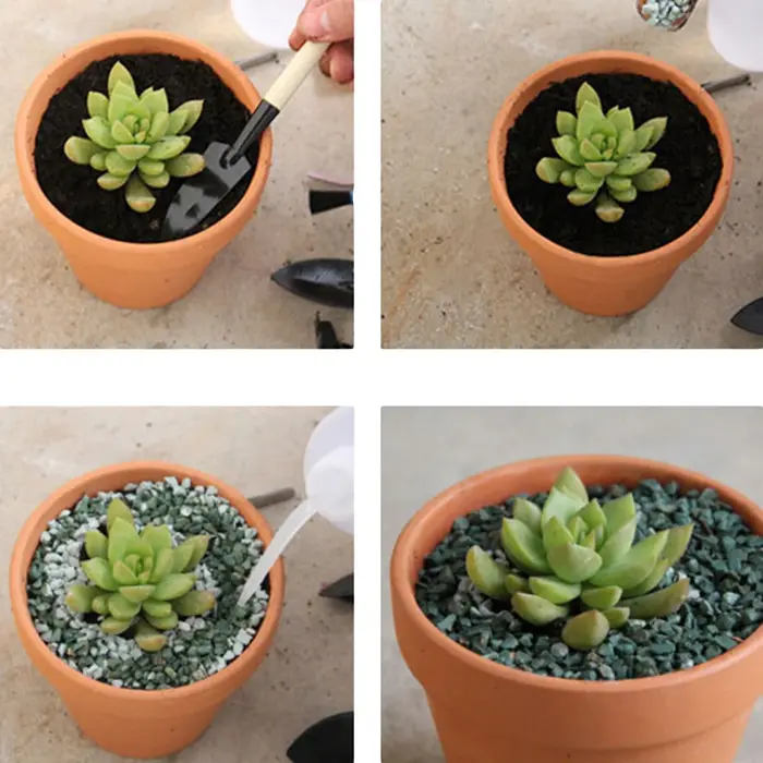 Mini pot en terre cuite en argile céramique, jardinière, pots de fleurs quantiques, pots de pépinière succulents, grand, 10 pièces