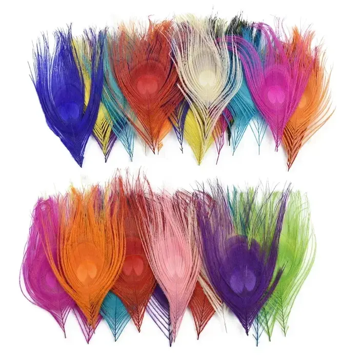 Plumes de paon colorées