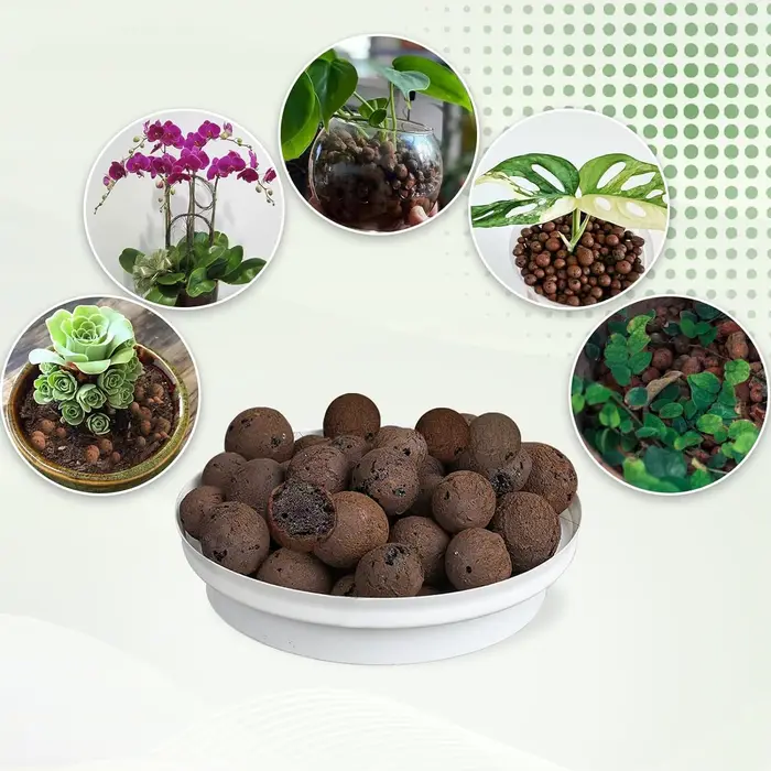 Boules d'argile organique 2L/1L