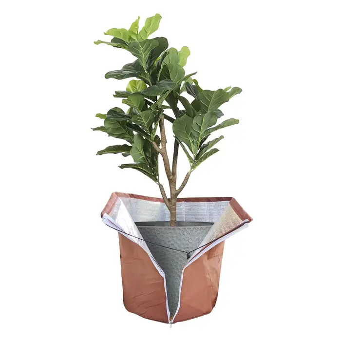 Couverture de plantes d'hiver