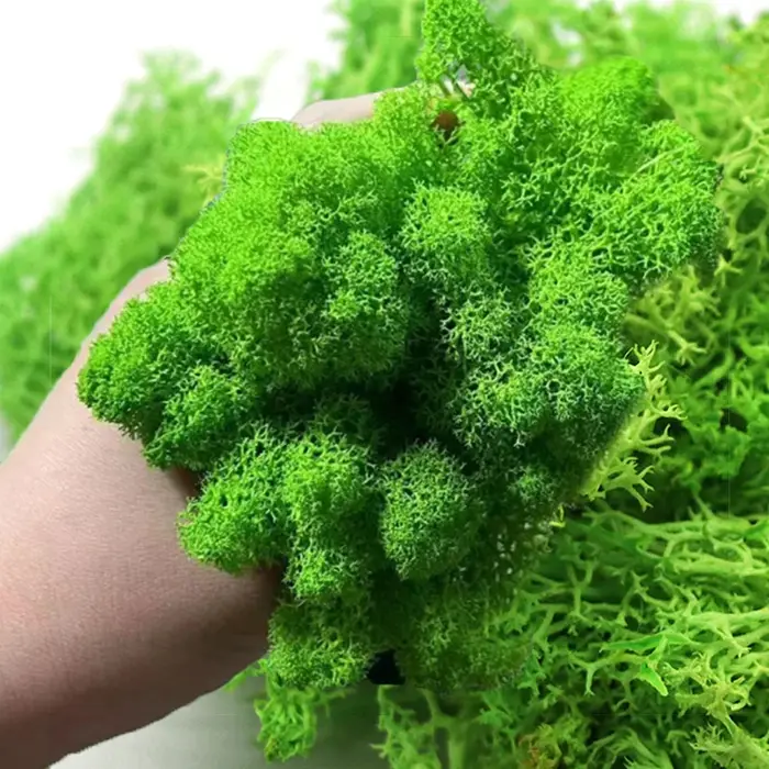 Plantes vertes artificielles