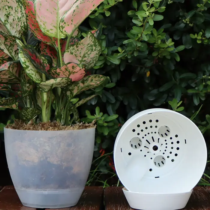 Pot de fleurs à auto-absorption pour bonsaï épicé
