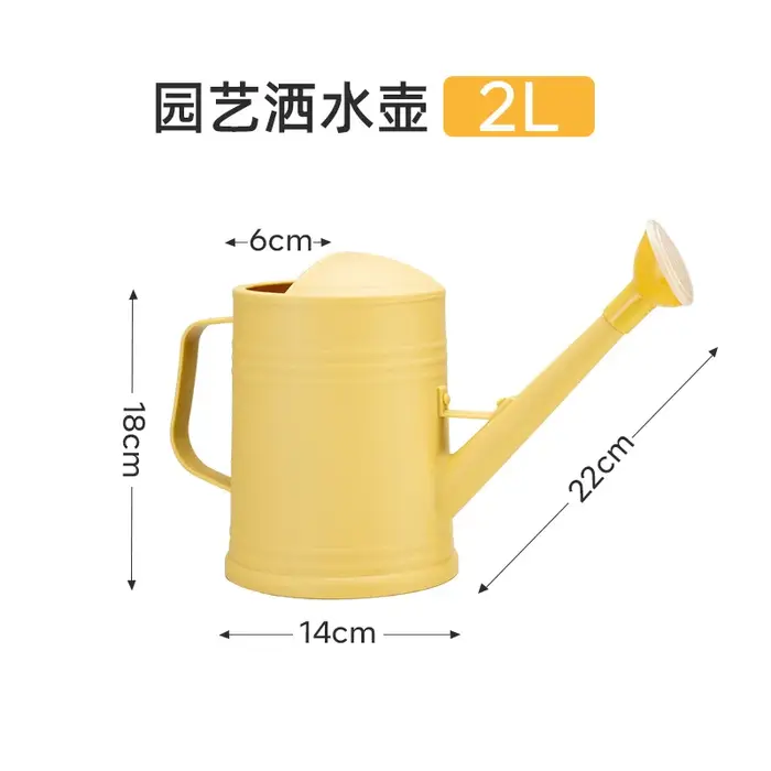Arrosoir à longue bouche de 2l