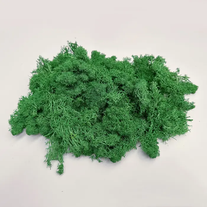 Plantes vertes artificielles