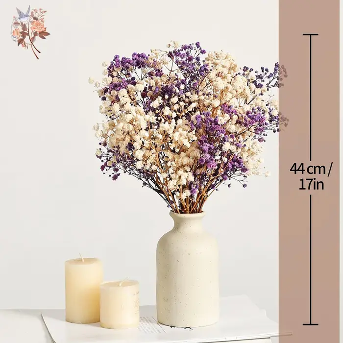Bouquet de fleurs séchées naturelles Gypsophila (Souffle de bébé) 120g