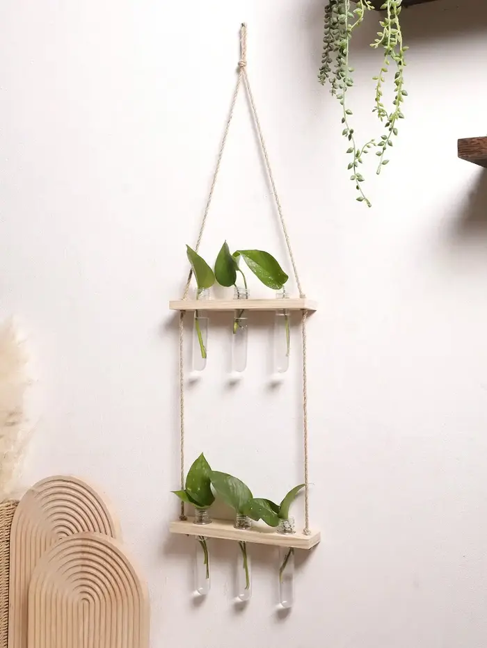 Présentoir mural de plantes à air