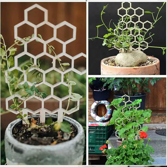 Cadre de Support pour Plantes en Forme de Nid d'Abeille