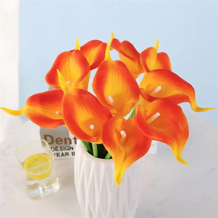 Achetez plus, économisez plus ! - Mini PUCaladium