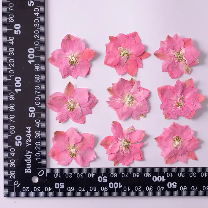 Fleurs de Gaura Lindheimeri pressées et séchées, 120 pièces, plantes sèches pour pendentif en résine époxy, fabrication de bijoux, accessoires artisanaux pour bricolage