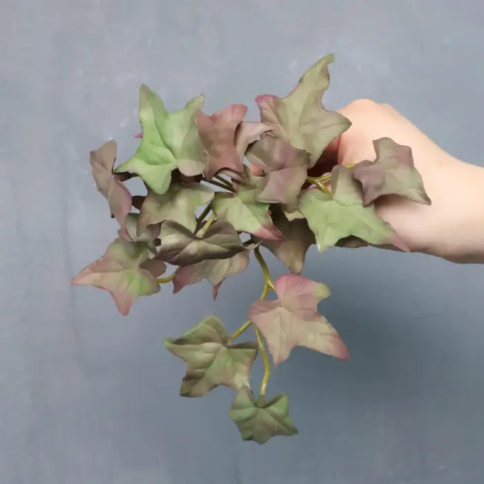 Plantes vertes succulentes artificielles