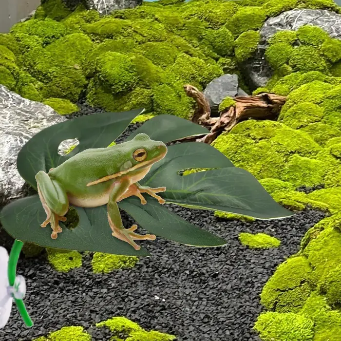 Décorations de Terrarium en forme de feuille