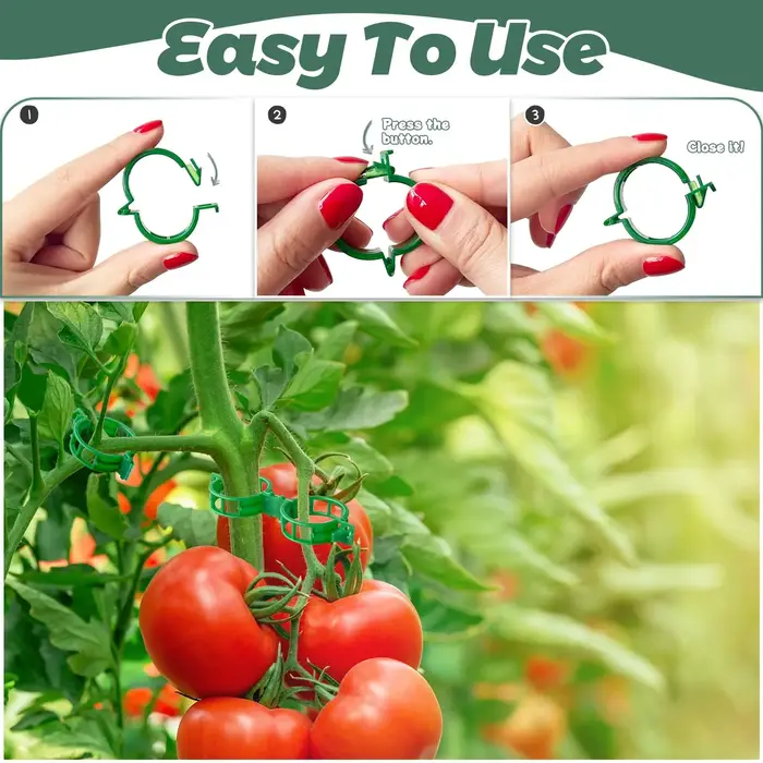 Clips de support pour plantes-Clips à tomates pour treillis de ficelle