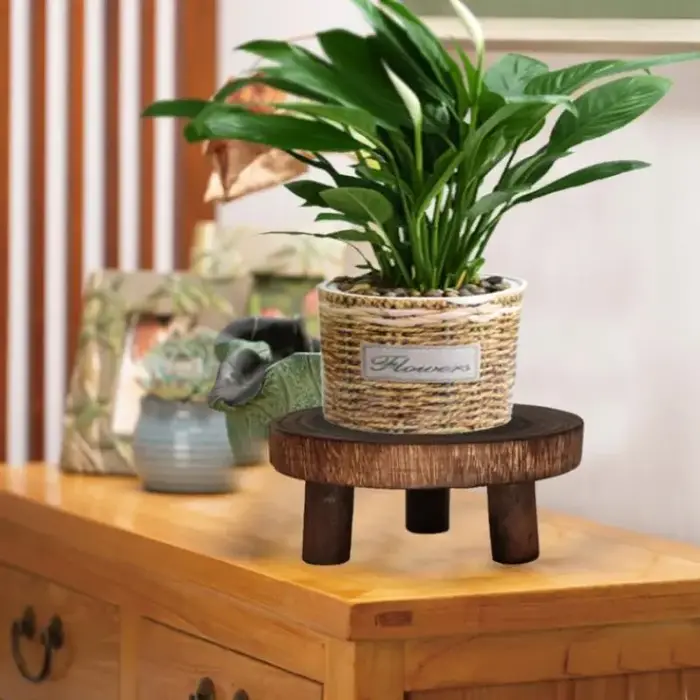 Support de plante en bois