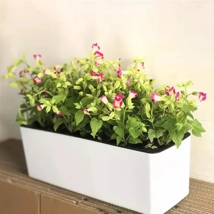 Pot de fleur rectangulaire paresseux