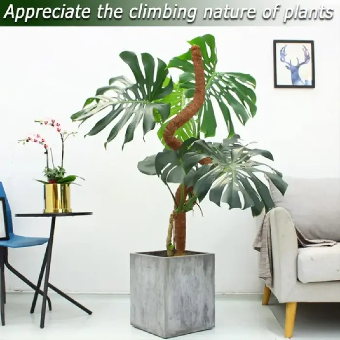 Support de grimpement pliable en mousse de coco de 30-100 cm pour plantes grimpantes d'intérieur