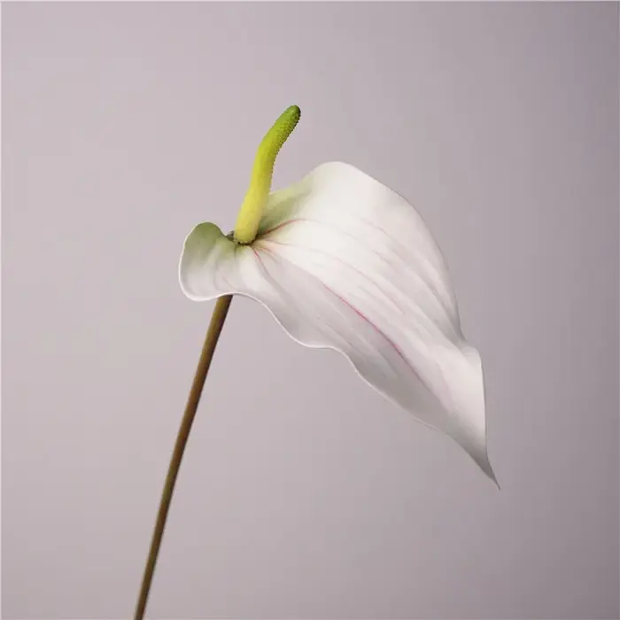 Fleur de palmier artificielle en Latex Anthurium, 5 pièces/lot, plantes au toucher réel, arrière-pla