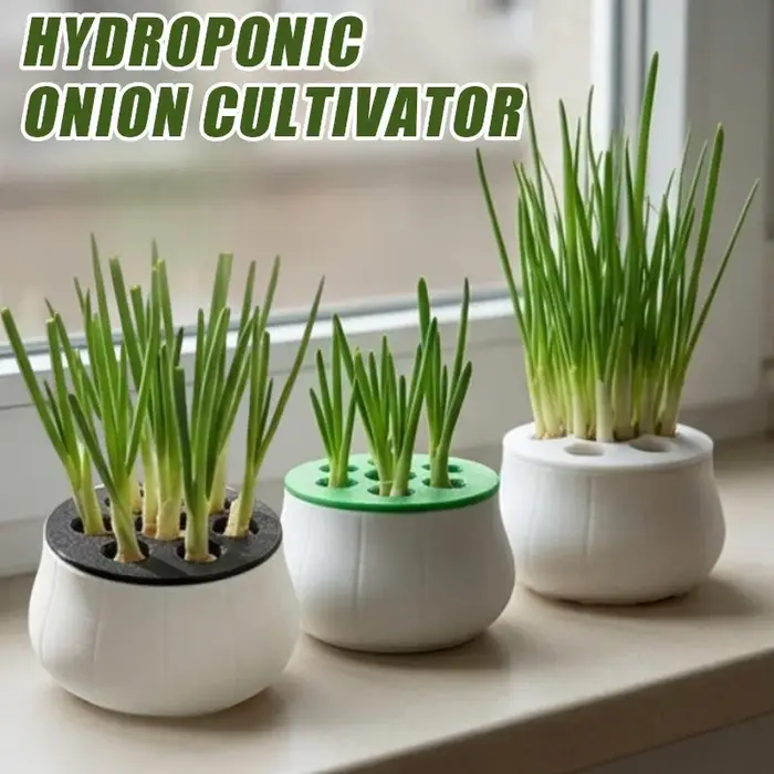 Kit de culture hydroponique réutilisable pour oignon vert