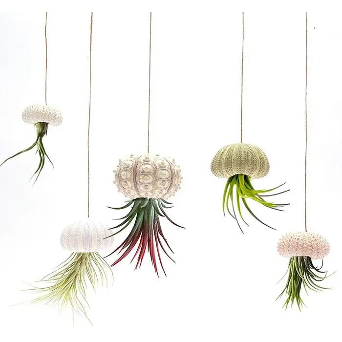 Pot de fleurs suspendu