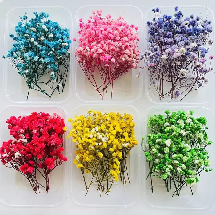 Kit de loisirs créatifs avec fleurs séchées, matériel floral décoratif pour l'ornementation artistique de la maison