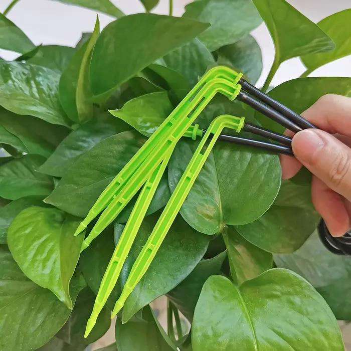 WUJIE 50-1000 pièces 1/8 ''gouteurs verts 3/5mm émetteurs de flèche pliante jardin en pot Irrigation