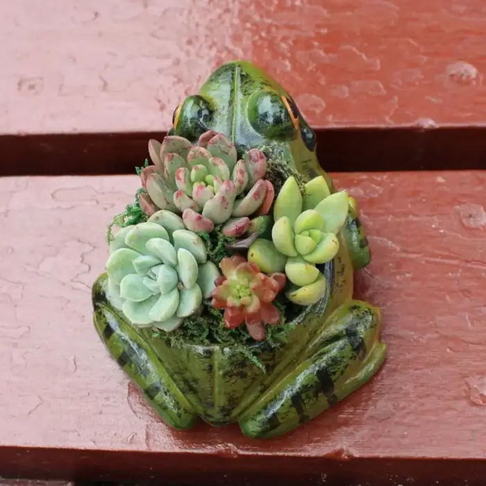 Pots à plantes succulentes en résine en forme de grenouille, épaissis et respirants, mini-pots de fleurs réalistes pour jardin