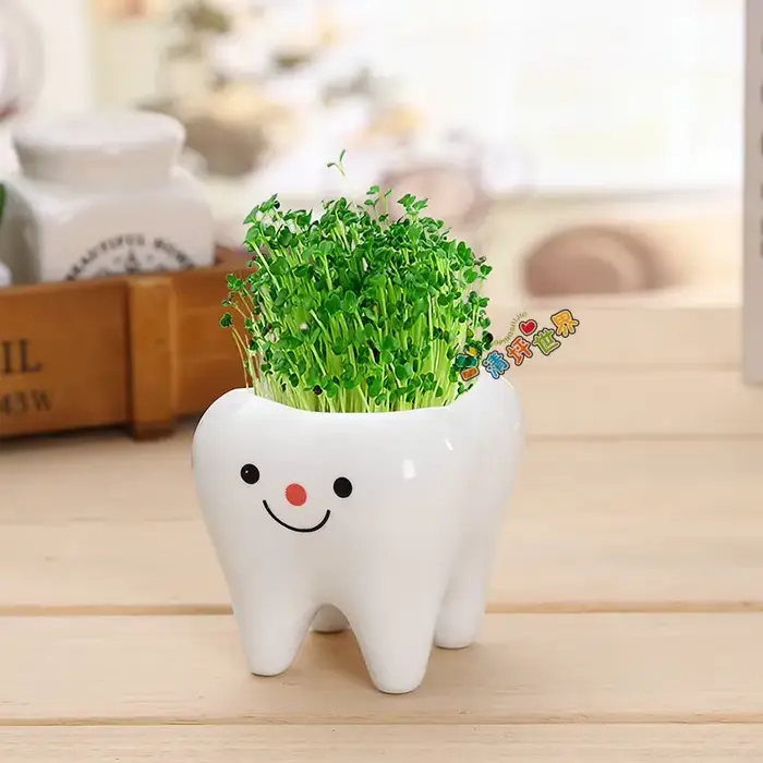 Mini pot de fleurs en céramique en forme de dent