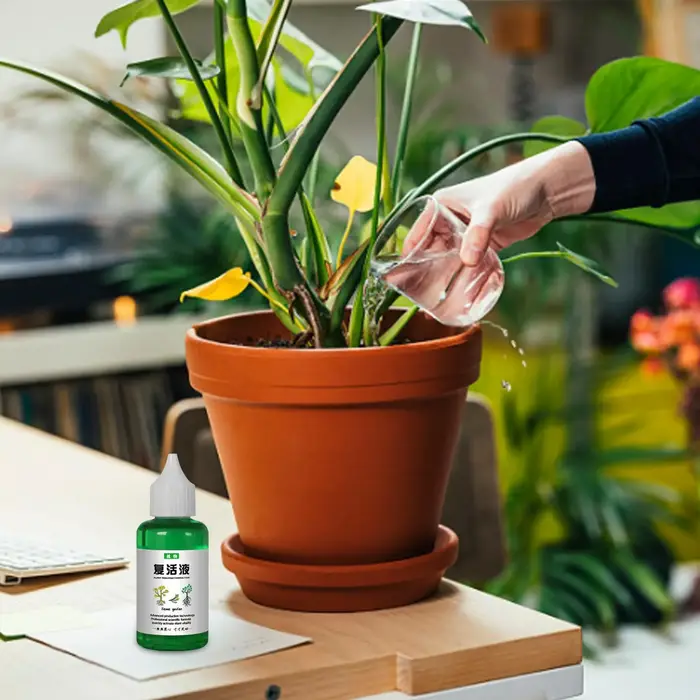 Solution nutritive pour plantes fruitières, 50ml, sol extérieur, plantes en croissance, favorise une