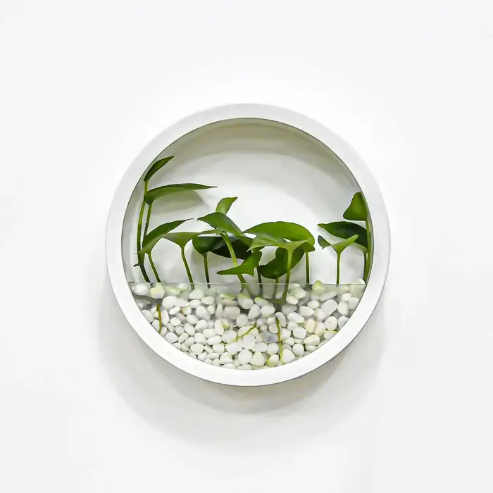 Vase rond mural pour plantes succulentes