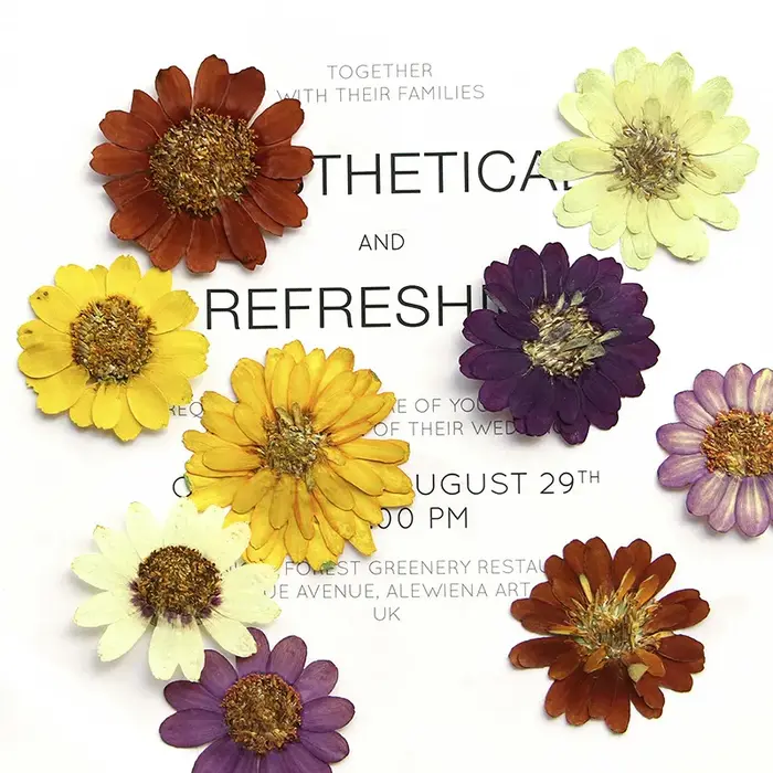 Kit d'art de fleurs pressées réelles