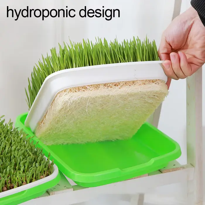 Plateau de germination de graines pour la maison
