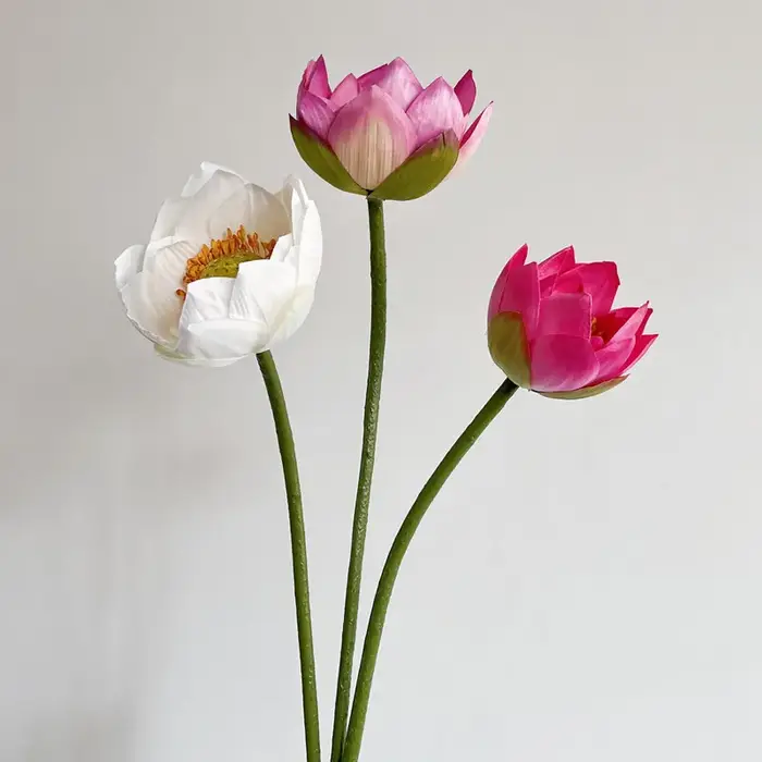 Simulation de petites fleurs artificielles