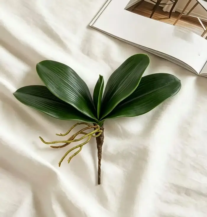 Feuilles d'orchidée artificielles, plante Phalaenopsis réaliste avec racines, fausse verdure pour la décoration intérieure, arrangement de mariage