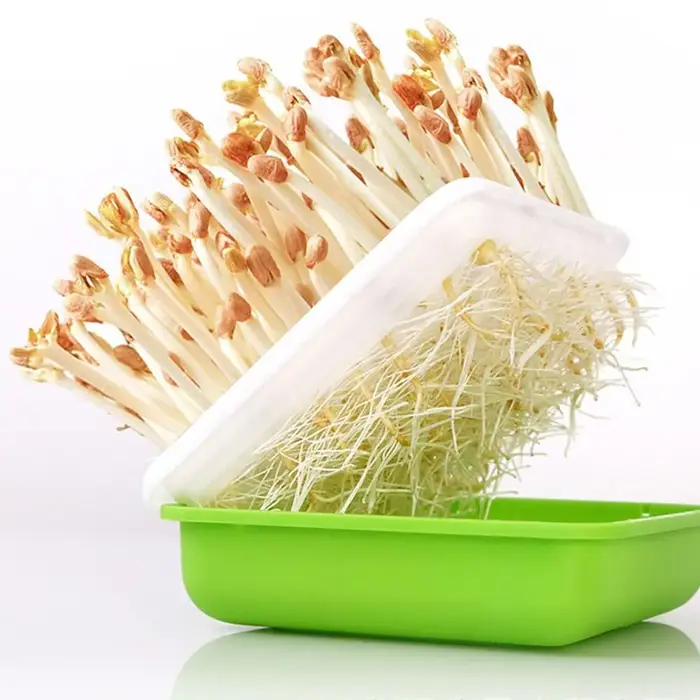 Kit de culture hydroponique pour pousses de haricots, arachides et semis, avec plateau de semis, boîte de culture de pousses et pot de culture de pousses, fournitures de jardinage