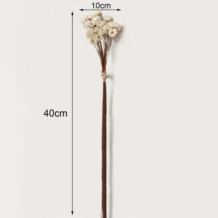 Fleurs séchées de gypsophile pour la décoration de mariage