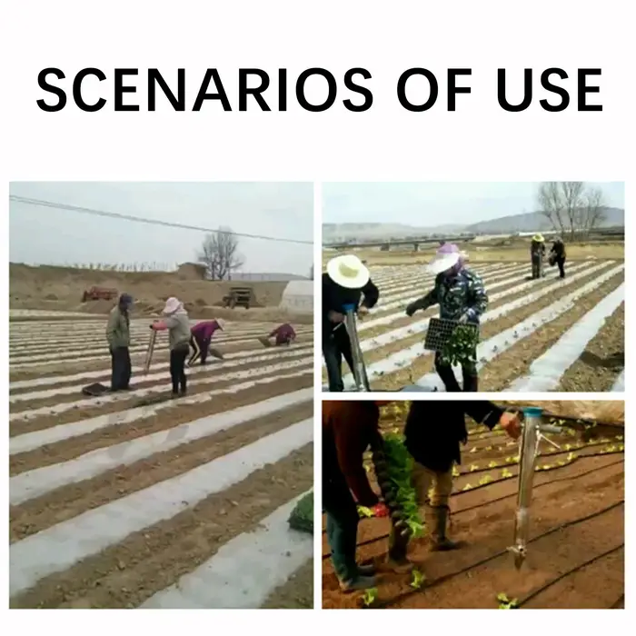 Planteur manuel de semis de légumes