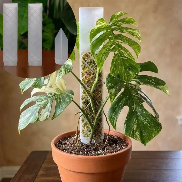 Support de croissance pour plantes grimpantes en plastique en forme