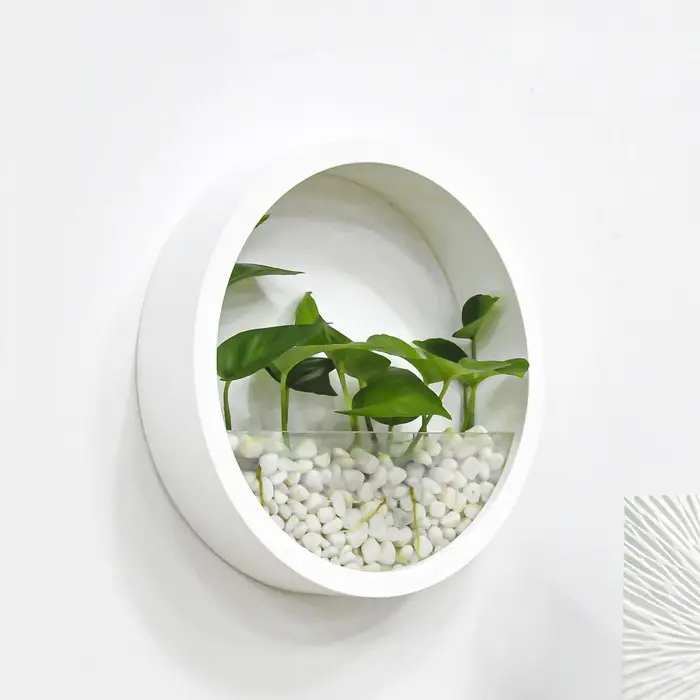 Vase rond mural pour plantes succulentes