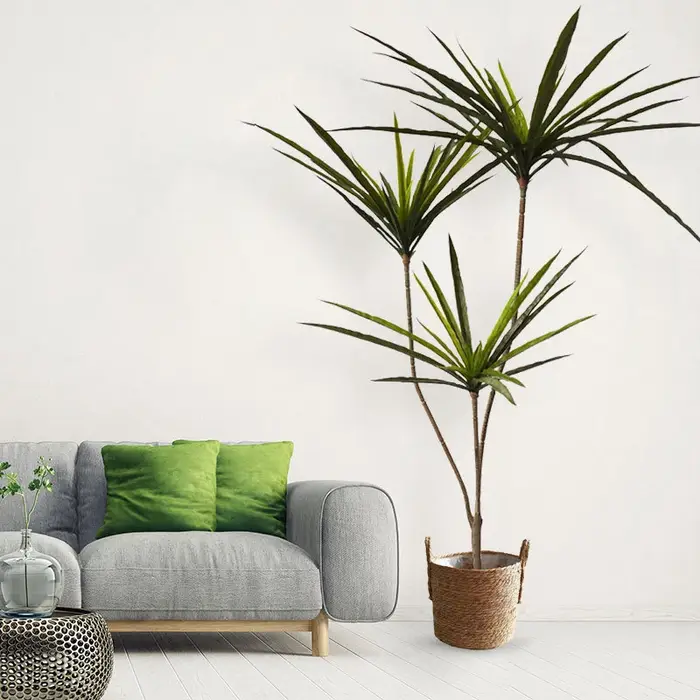 Plantes artificielles Dracaena